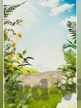 看足球比分app-从指尖到绿茵场，看足球比分APP如何重塑球迷观赛体验