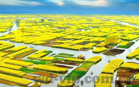 梦幻足球怎么比分无效-梦幻足球惊现比分无效之谜,深度解析与应对策略