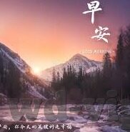 球探比分足球比分7-球探比分足球比分7，开启足球数据洞察新视界